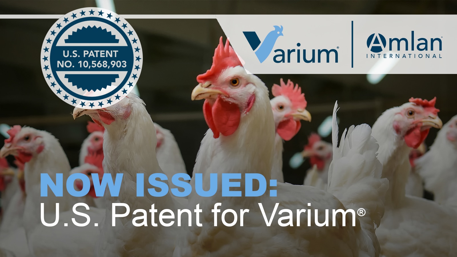 press release, varium® patent announcement